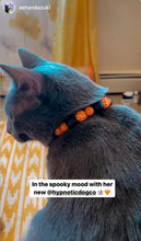 Load image into Gallery viewer, MINI Jack O&#39; Lantern [Small Dog/Cat Bead Collar]