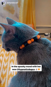 MINI Jack O' Lantern [Small Dog/Cat Bead Collar]