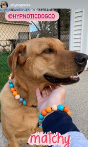 Orange Skyline Acrylic Bead Collar