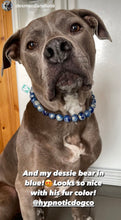 Load image into Gallery viewer, Neptune Blue Bead Collar