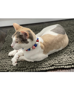 Americana Glam MINI [Small Dog/Cat Bead Collar]