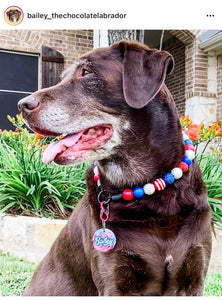 Americana Glam Bead Collar