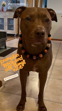 Load image into Gallery viewer, Pumpkin Spice Halloween Bead Collar