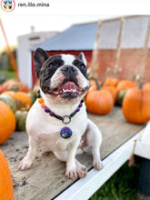 Load image into Gallery viewer, Witching Hour Halloween Bead Collar