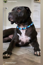 Load image into Gallery viewer, Blue Sea Ceramic Bead Collar