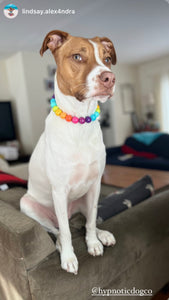Mystery Rainbow 'Almost Perfect' Wooden Bead Collar - FINAL SALE