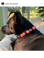 Load image into Gallery viewer, 🟧 17&quot; Slip On (Black O-Ring) Spellbound Bead Collar - PRE-MADE/FINAL SALE
