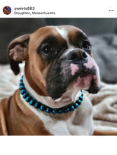 Load image into Gallery viewer, Blue Spark Bead Collar