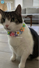Load image into Gallery viewer, 🟧 18.5&quot; Slip On (Rose Gol1 O-Ring) Field of Daisies 🌼 [DECORATIVE ONLY] Bead Collar - PRE-MADE/FINAL SALE