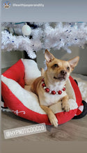 Load image into Gallery viewer, Santa Baby Bead Collar