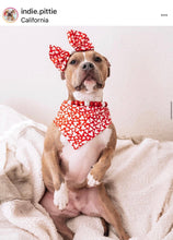 Load image into Gallery viewer, 🟧 21" Slip On (Black O-Ring) Valentine's Signature Bead Collar - PRE-MADE/FINAL SALE