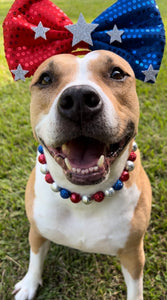 Sparkler 🎇 Bead Collar