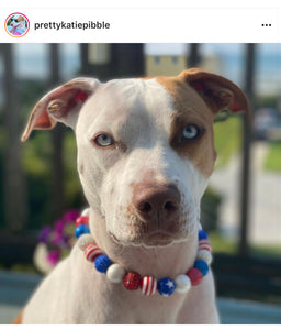 Americana Glam Bead Collar