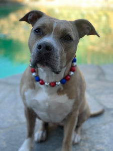 Sparkler 🎇 Bead Collar