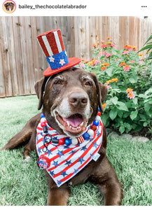 Americana Glam Bead Collar