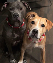 Load image into Gallery viewer, 🟧 21" Slip On (Black O-Ring) Valentine's Signature Bead Collar - PRE-MADE/FINAL SALE