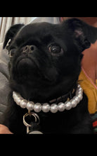 Load image into Gallery viewer, 🟧 13.5&quot; Neck Measure (Black Plastic Buckle) Mini White Pearl Bead Collar - PRE-MADE/FINAL SALE