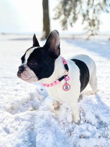 Pink Waves Resin Bead Collar