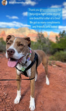 Load image into Gallery viewer, 🟧 18.5&quot; Slip On (Rose Gol1 O-Ring) Field of Daisies 🌼 [DECORATIVE ONLY] Bead Collar - PRE-MADE/FINAL SALE