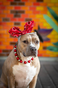 Santa Baby Bead Collar