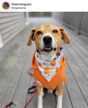 Load image into Gallery viewer, Purple Skull Candy Bead Collar