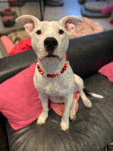 Load image into Gallery viewer, 🟧 21" Slip On (Black O-Ring) Valentine's Signature Bead Collar - PRE-MADE/FINAL SALE