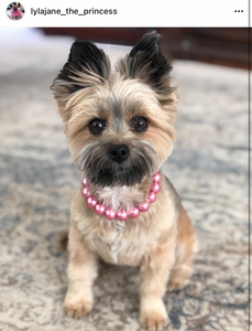 Mini Rose Pink Pearl [Small Dog/Cat Bead Collar]