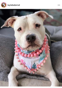 Pink Waves Resin Bead Collar