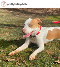 Load image into Gallery viewer, 🟧 21" Slip On (Black O-Ring) Valentine's Signature Bead Collar - PRE-MADE/FINAL SALE