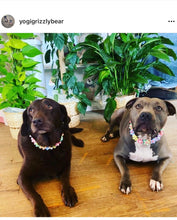 Load image into Gallery viewer, 🟧 18.5&quot; Slip On (Rose Gol1 O-Ring) Field of Daisies 🌼 [DECORATIVE ONLY] Bead Collar - PRE-MADE/FINAL SALE