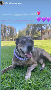 Lavender Rain Acrylic Bead Collar [Scuffed]