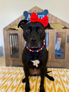 Sparkler 🎇 Bead Collar