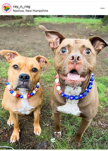 Americana Glam Bead Collar