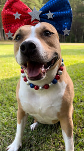 Sparkler 🎇 Bead Collar