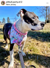 Load image into Gallery viewer, Pink Waves Resin Bead Collar