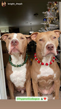 Load image into Gallery viewer, Santa Baby Bead Collar