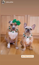 Load image into Gallery viewer, Luck of the Irish Bead Collar