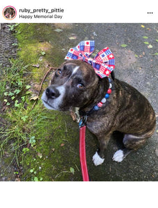 Americana Glam Bead Collar