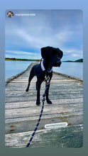 Load image into Gallery viewer, XS White Pearl Triplo Acrylic Bead Collar
