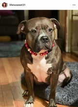 Load image into Gallery viewer, 🟧 21" Slip On (Black O-Ring) Valentine's Signature Bead Collar - PRE-MADE/FINAL SALE