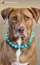 Load image into Gallery viewer, Glacial Glitter Bead Collar