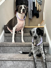 Load image into Gallery viewer, Lavender Rain Acrylic Bead Collar [Scuffed]