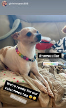 Load image into Gallery viewer, Electric Rainbow MINI [Small Dog/Cat Bead Collar]