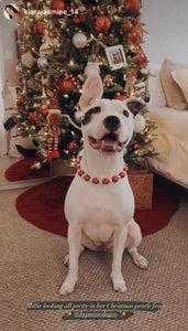 Santa Baby Bead Collar