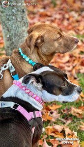 Glacial Glitter Bead Collar