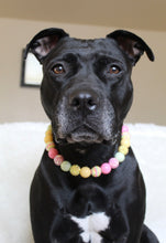 Load image into Gallery viewer, Citrus Sunrise Bead Collar