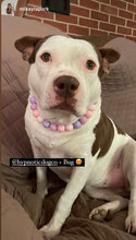 Load image into Gallery viewer, 🟧 18&quot; Slip On (Rose Gold O-Ring) Pretty Princess Acrylic Bead Collar - PRE-MADE/FINAL SALE