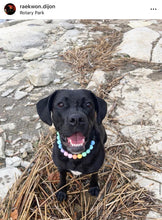 Load image into Gallery viewer, Pastel Rainbow Acrylic Bead Collar