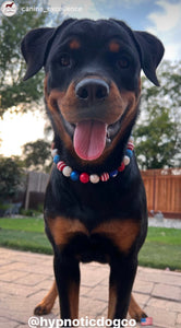 Americana Glam Bead Collar