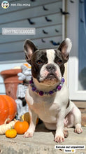 Load image into Gallery viewer, Purple Skull Candy Bead Collar